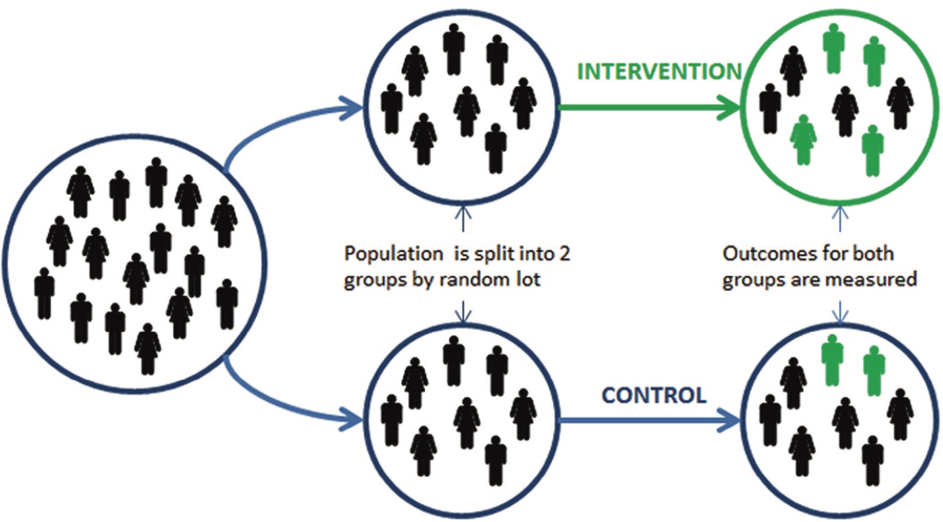 Haynes et al. (2012), Figure 3